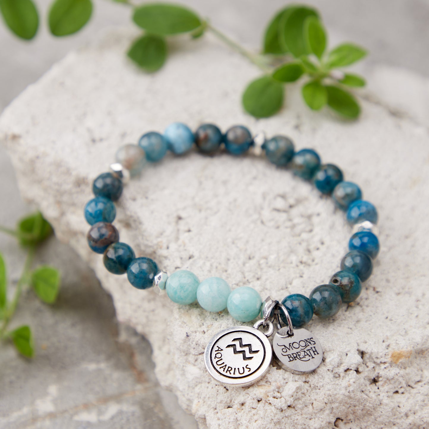 Aquarius (January 20 – February 18)