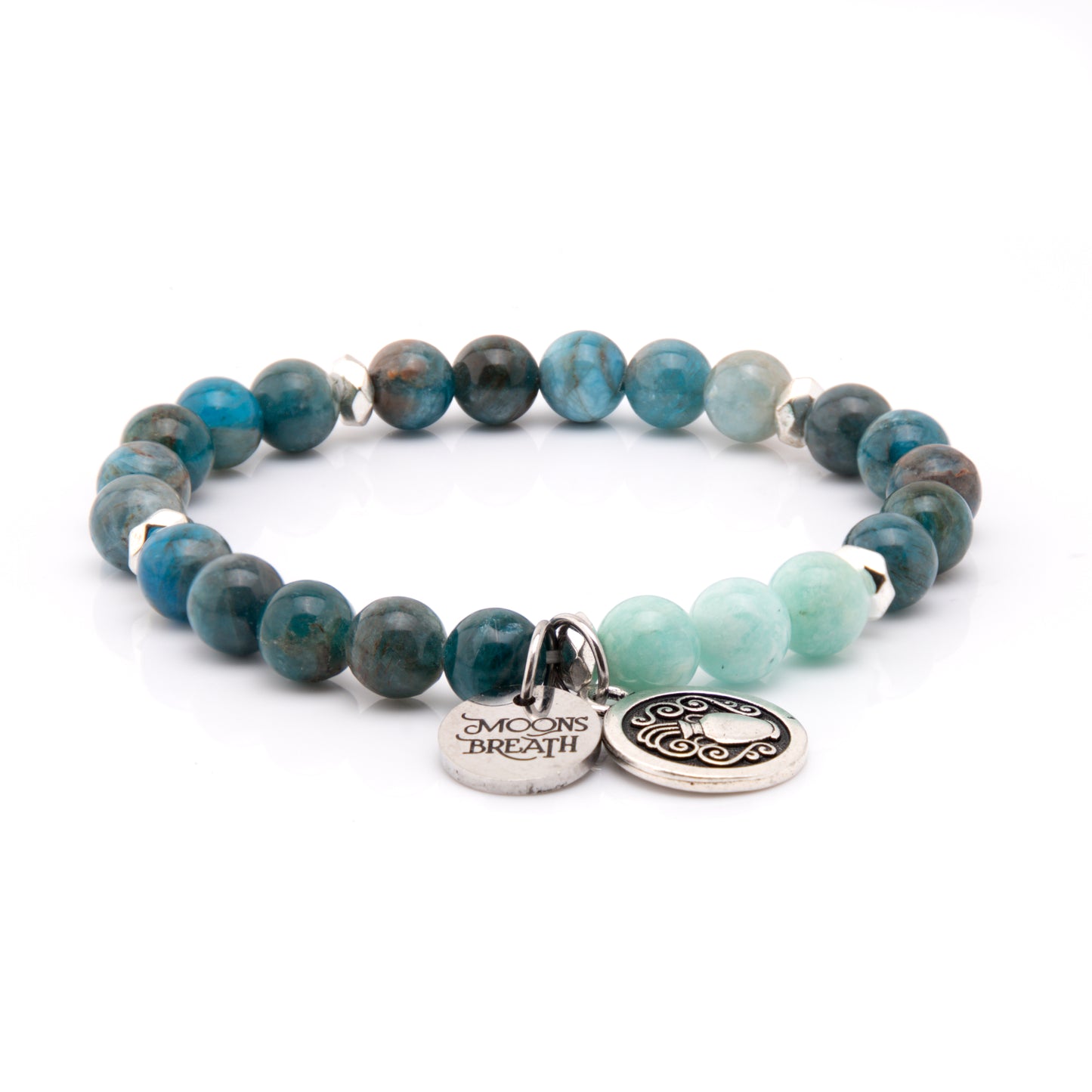 Aquarius (January 20 – February 18)