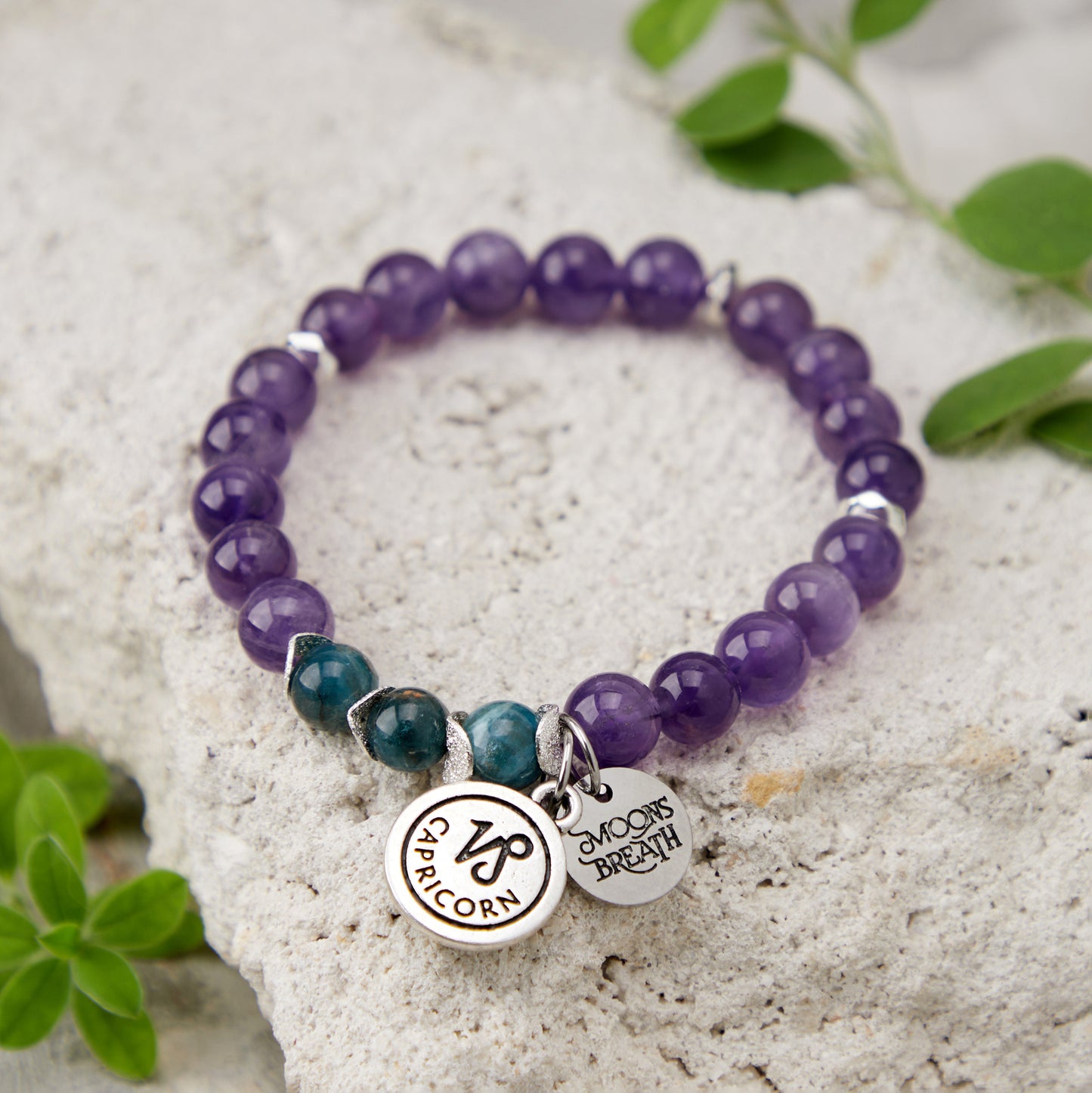 Capricorn (Dec 22 – Jan 19)