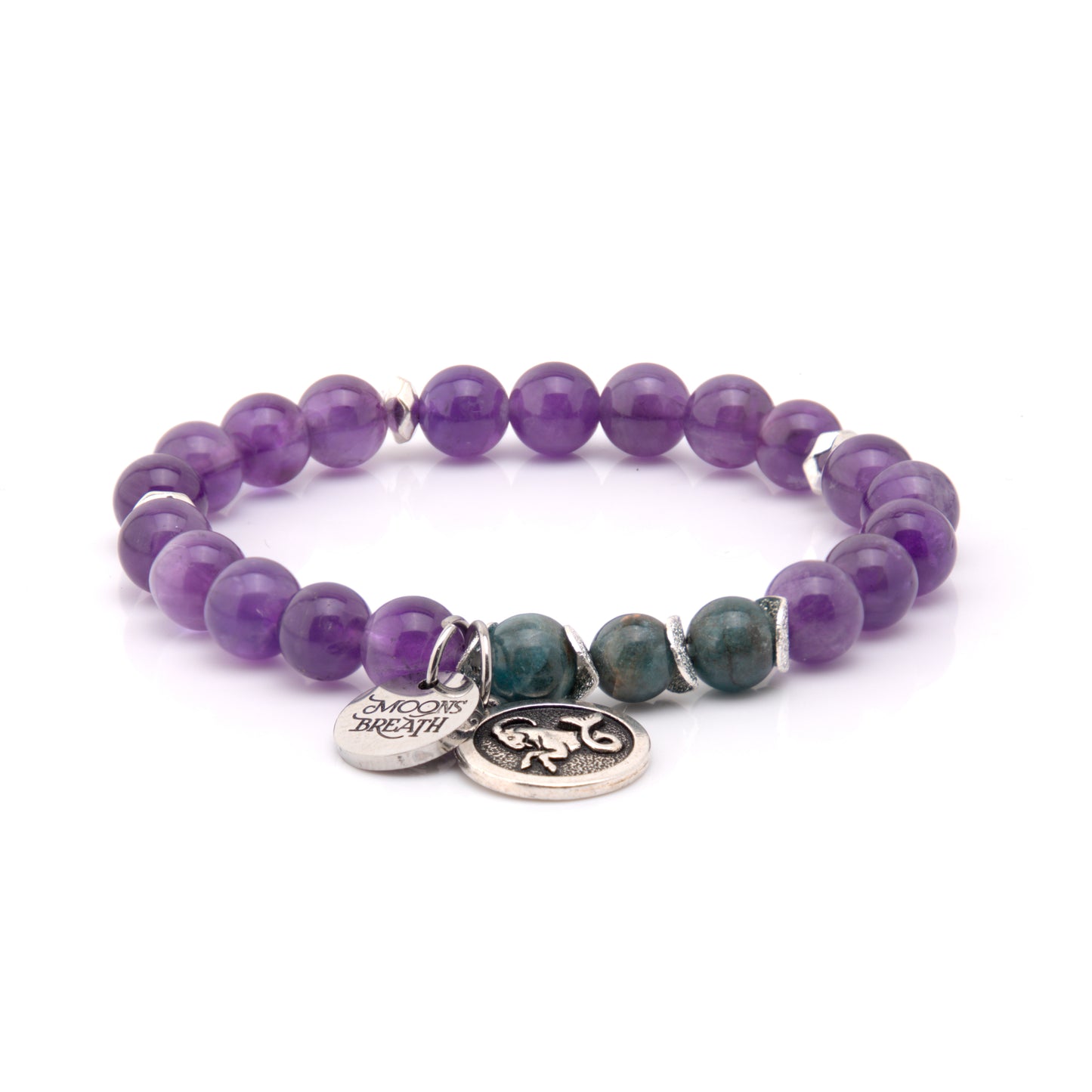 Capricorn (Dec 22 – Jan 19)