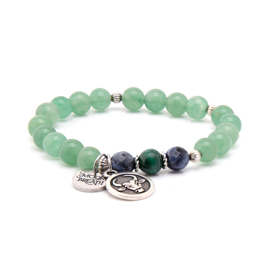 Taurus (April 20 – May 20)